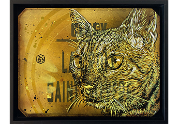 C215